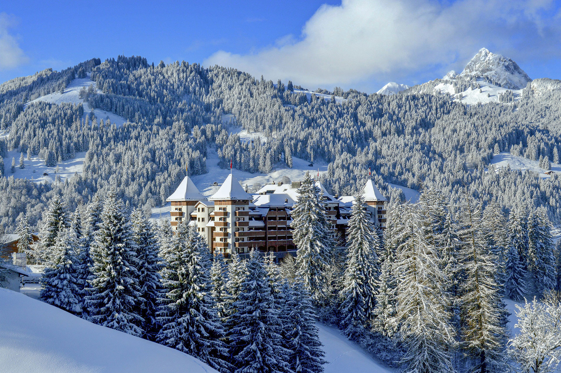 The-Alpina-Gstaad-(1).jpg